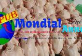 Vente : 20 Poulets de Chair Frais (1,6 kg à 1,8 kg) à Niary Tally (Dakar) – Paiement à la Livraison