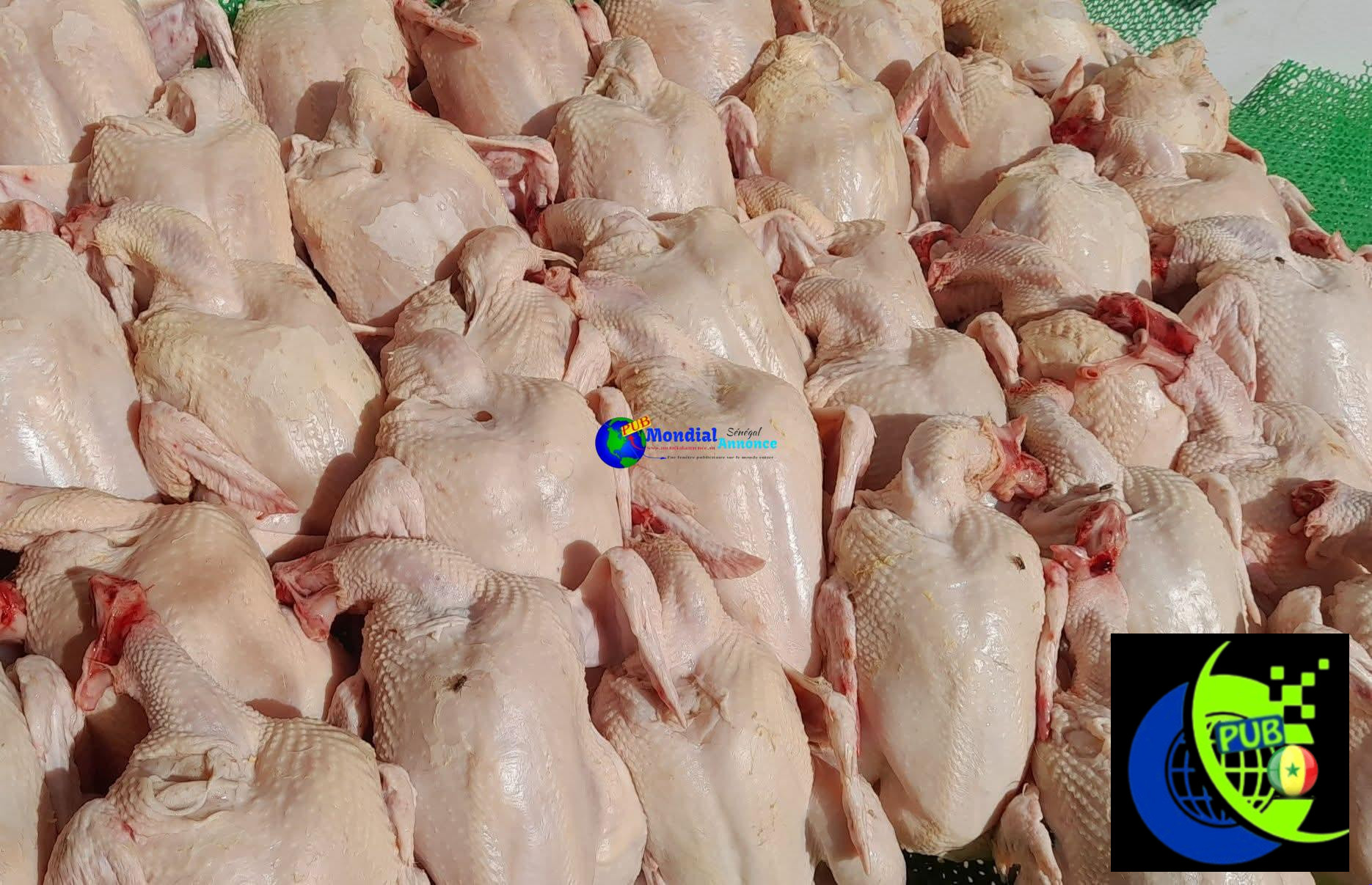 Poulets de Chair Frais (1,3 kg à 1,5 kg) – Livraison Gratuite dès 10 Poulets