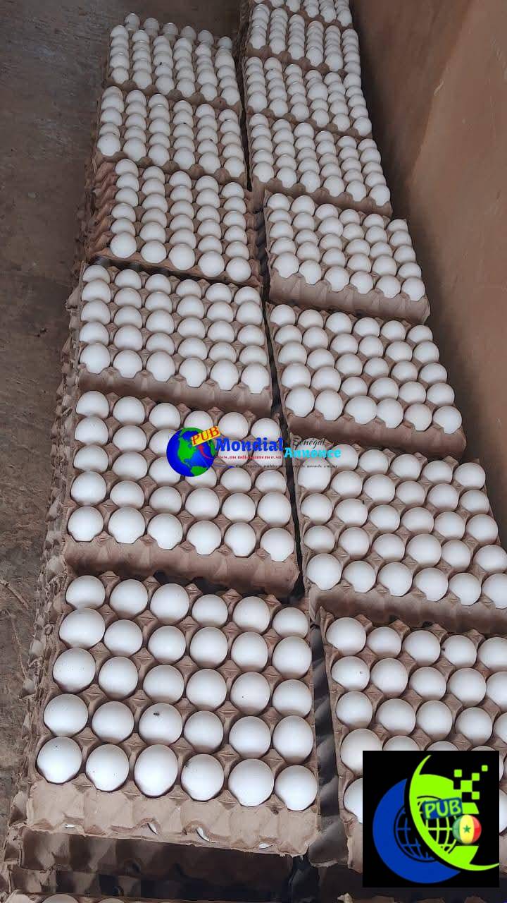 Des Œufs de Table Gros Calibre disponibles à Dakar. Contact : 789687666