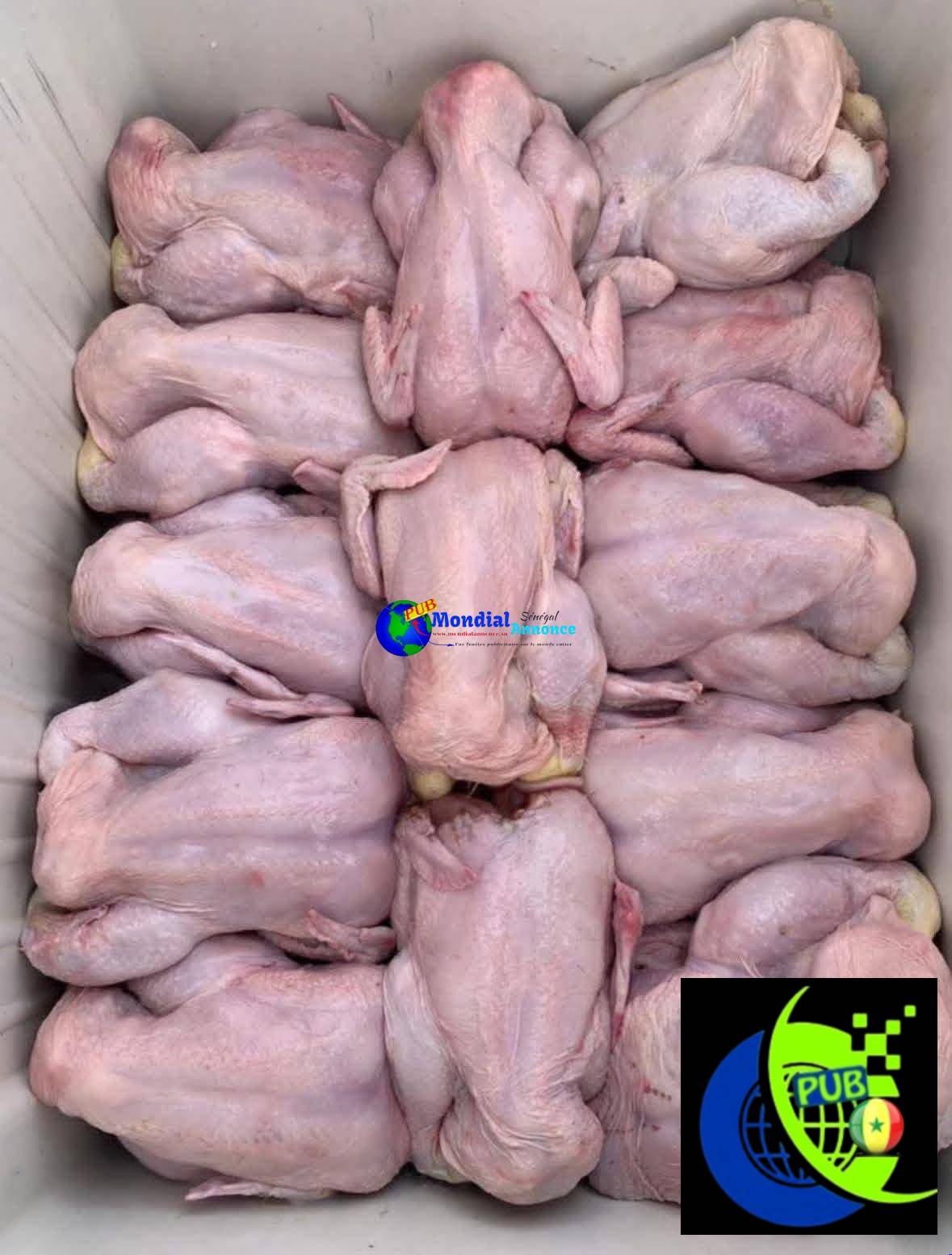 Stock de 300 Poulets Prêts à Cuire de 1,3 kg à 1,5 kg dispo Dakar pour 3 000 F CFA / Unité