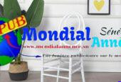 Des Chaises VIP Haut de Gamme – Confort & Design Élégant dispo à Dakar pour 17 000 F CFA / Unité