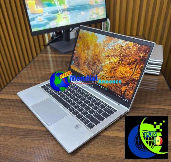 HP EliteBook 840 G7 Core i5 10e Génération – 8Go RAM, SSD 256Go