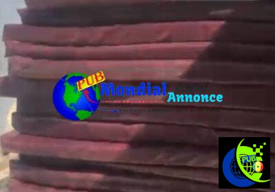 748986326_1643273044056859_3696382220036917574_n-1