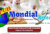 Œufs et poulets de chair disponibles sur commande