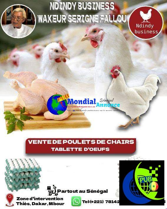 Œufs et poulets de chair disponibles sur commande