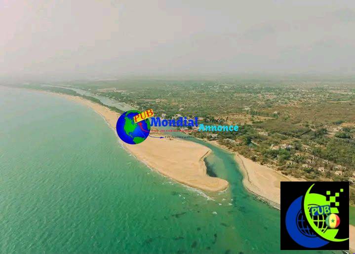 Terrain de 600 m² à vendre à Mbodiène – 7 millions FCFA
