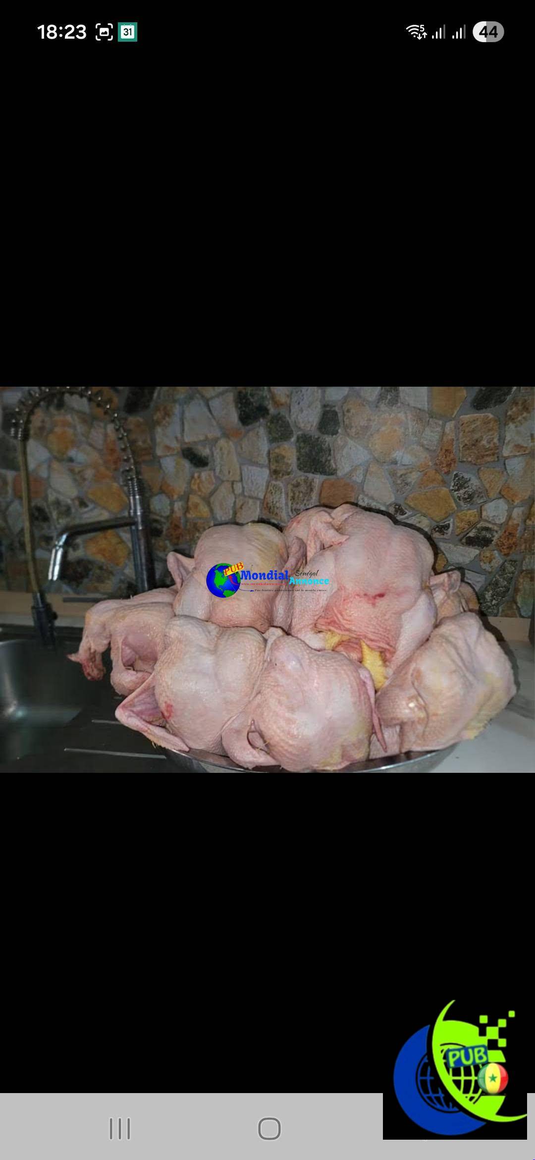 Poulets gros calibres disponibles à 3 500 FCFA