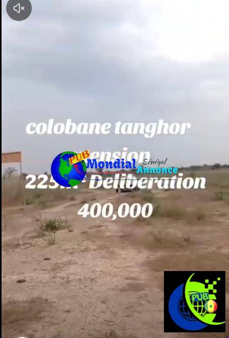 Terrain de 225 m² à vendre à Colobane Tanghor Extension – Thiès