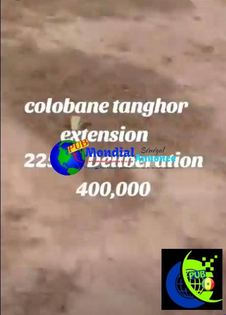 Terrain de 225 m² à vendre à Colobane Tanghor Extension – Thiès