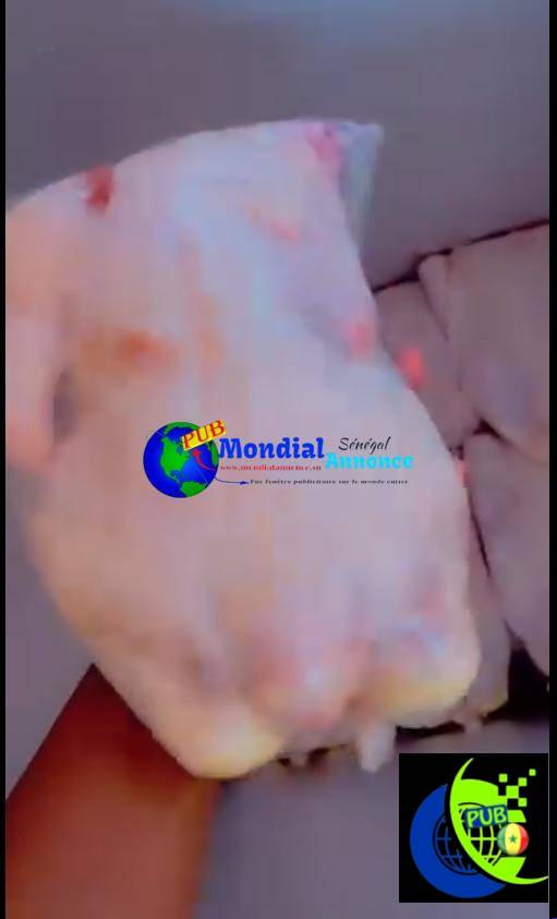 Œufs et poulets de chair disponibles sur commande