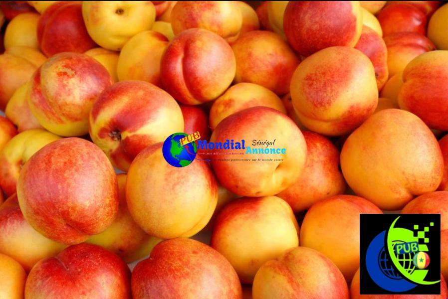 Nectarine fraîche exceptionnelle disponible à Dakar – Arrivage de la semaine
