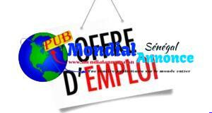 Emploi-au-Senegal-Emploi-a-Dakar-le-Recrutement-des-1-000-jeunes-volontaires-300×160-1