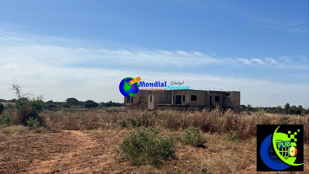 Cherche promoteur immobilier pour terrains à Saly et Nguérigne