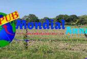 Terrain de 600 m² à vendre à Mbodiène – 7 millions FCFA