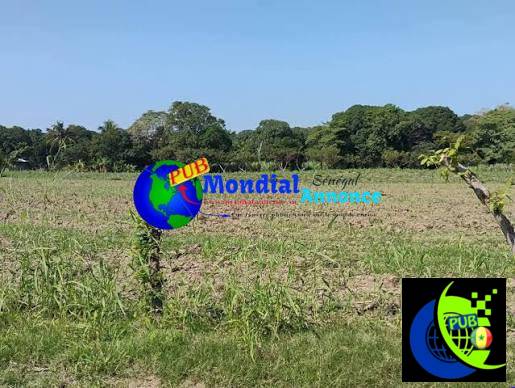 Terrain de 600 m² à vendre à Mbodiène – 7 millions FCFA