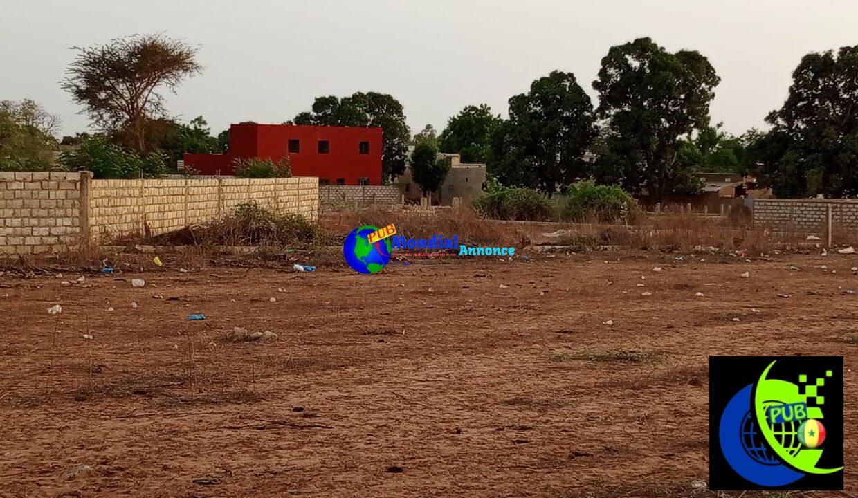 Cherche promoteur immobilier pour terrains à Saly et Nguérigne