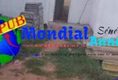 Terrain avec Titre Foncier Individuel à Vendre à Niague / Tivaouane Peulh (Coopération King Fahd / Socabeg)