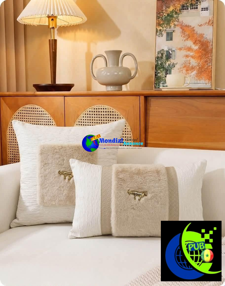 Coussins Décoratifs Doux au Design Moderne disponibles. Watshap : 773391380