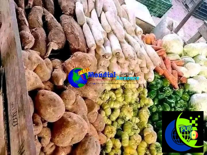 Vente de Légumes Frais à Dakar avec Livraison à Domicile. Contact : 707329490