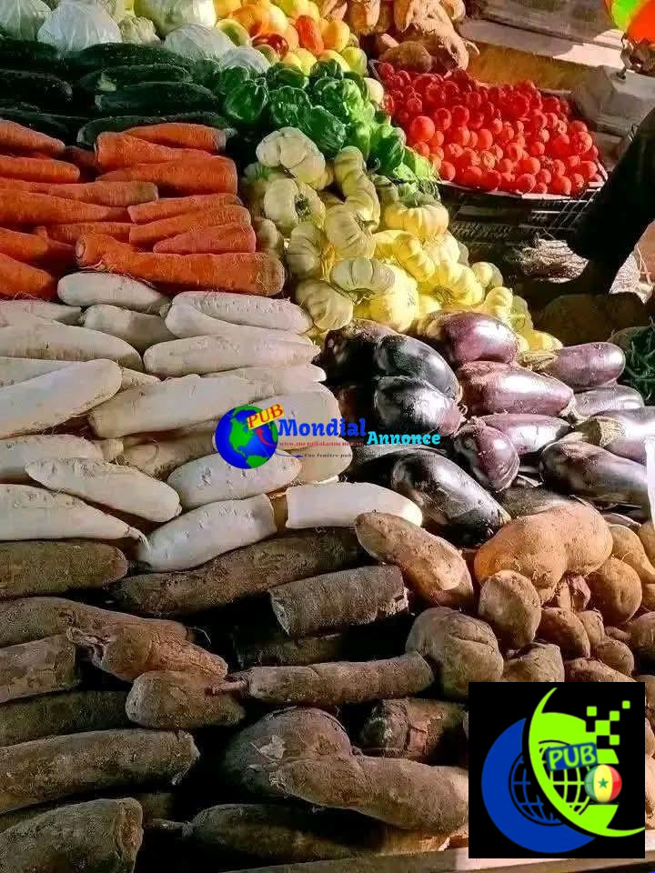 Vente de Légumes Frais à Dakar avec Livraison à Domicile. Contact : 707329490