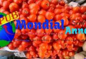 Vente de Légumes Frais à Dakar avec Livraison à Domicile. Contact : 707329490