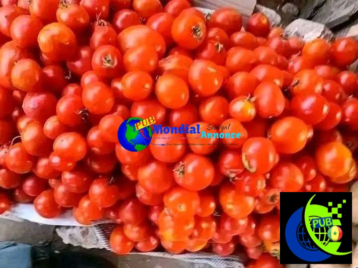 Vente de Légumes Frais à Dakar avec Livraison à Domicile. Contact : 707329490
