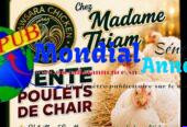 Poulets de Chair Sur Pied (1,6 kg à 1,8 kg) à vendre – Thiès