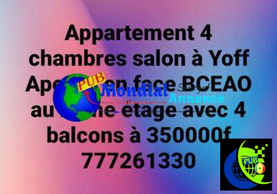 1000737336