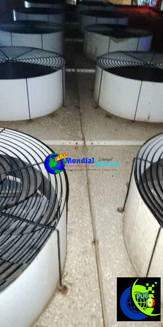 SambaFroid – Services & Équipements Froid, Climatisation, Électricité & Automobile à Dakar. Contact : 779652651