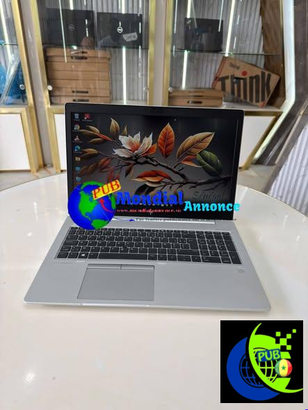 HP EliteBook 755 G5 Ryzen 3 Pro à 160 000 FCFA – SSD 256 Go et RAM 8 Go