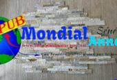 Pierres naturelles et marbres disponibles