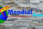 Pierres naturelles et marbres disponibles