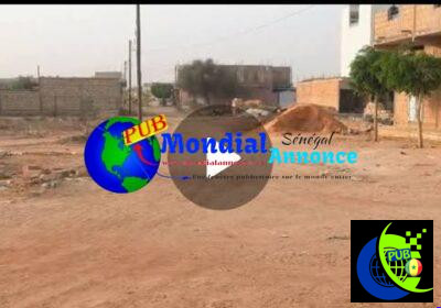 images-2026-10-13T102257.925